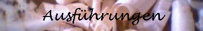 Ausf�hrungen