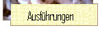 Ausf�hrungen