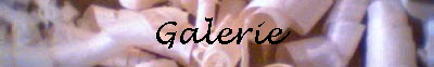 Galerie