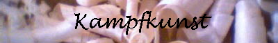 Kampfkunst